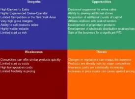 Dress Store SWOT Analysis Plus Business Plan